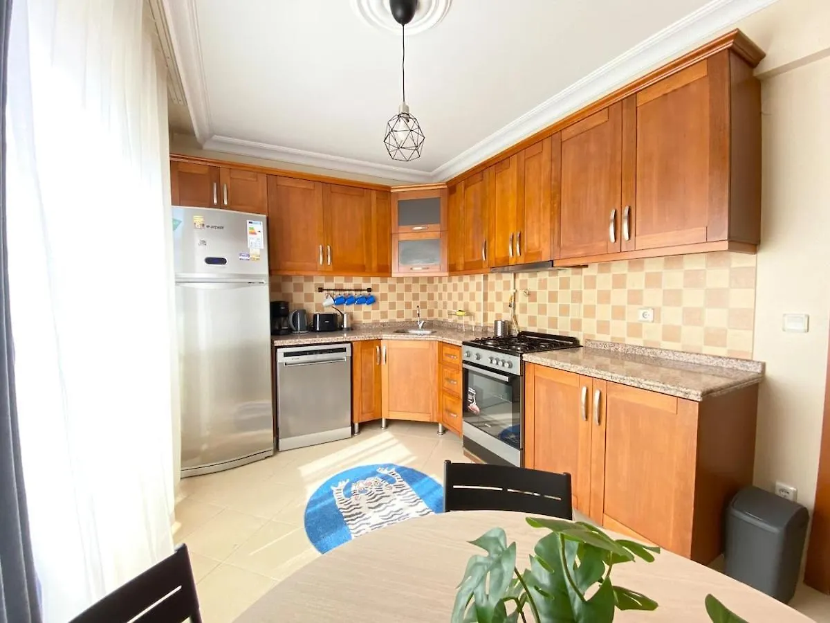 City Center Spacious Flat No9 伊斯坦布尔