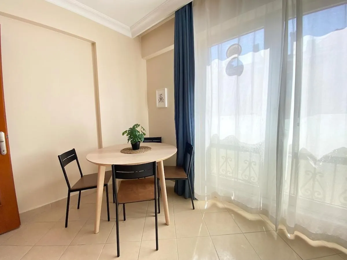 公寓 City Center Spacious Flat No9 伊斯坦布尔