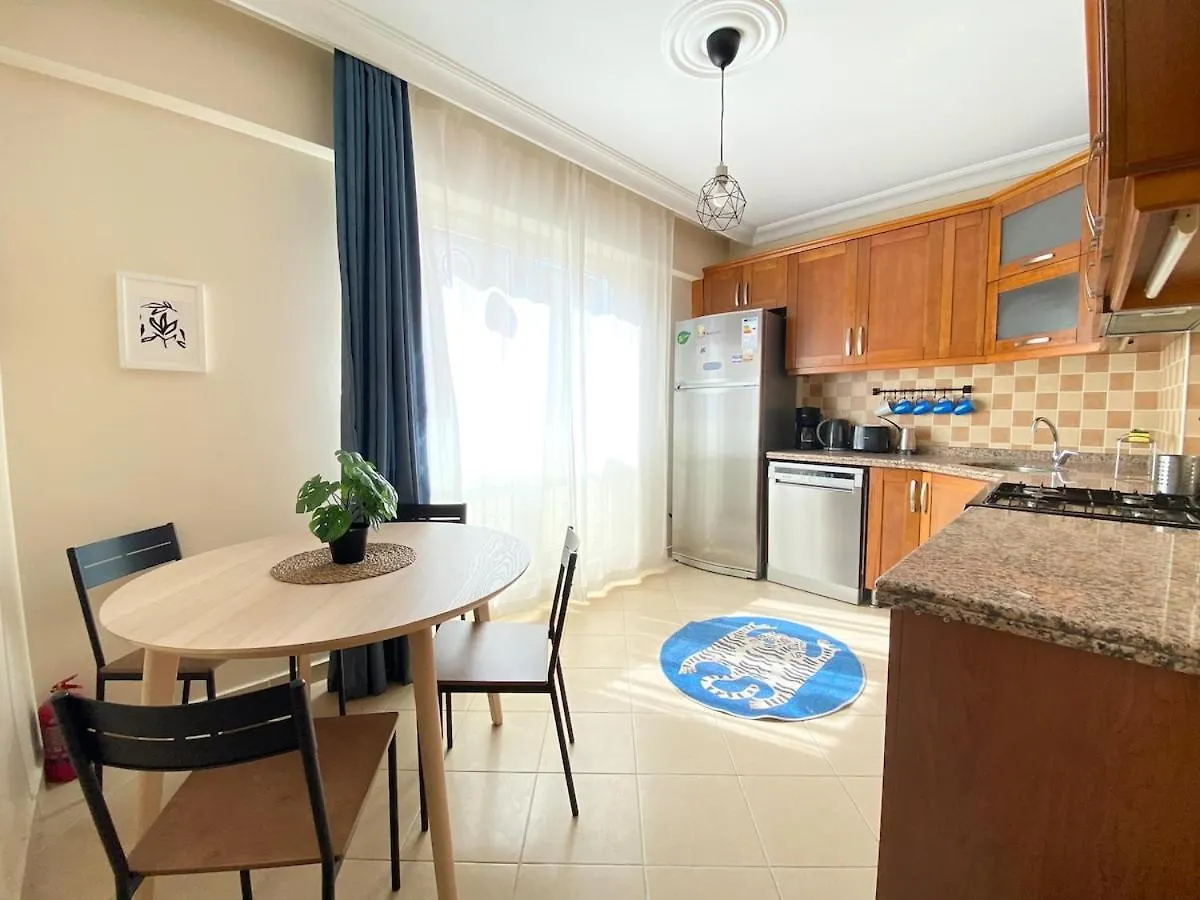 City Center Spacious Flat No9 伊斯坦布尔 土耳其