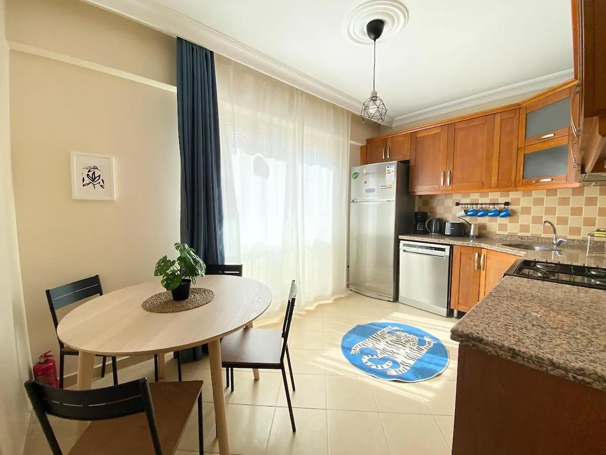 City Center Spacious Flat No9 Isztambul
